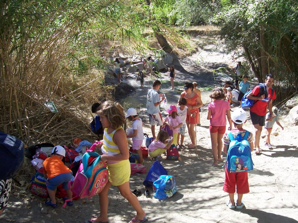 Más servicios 100 0688